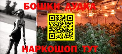 шишки Краснознаменск