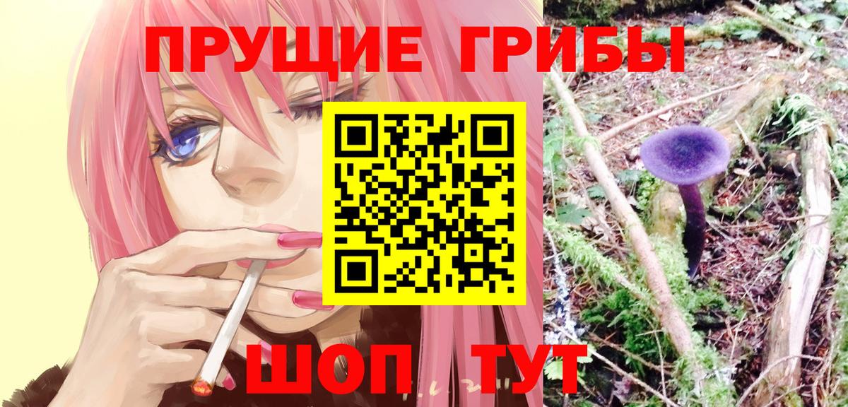 Псилоцибиновые грибы MAGIC MUSHROOMS Петропавловск-Камчатский